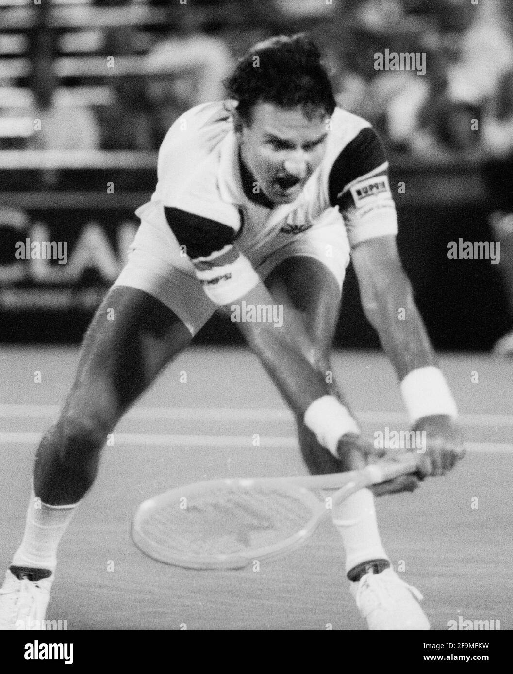 Jimmy Connors 1983 Photo ©Neil Schneider/PHOTOlink Stock Photo - Alamy