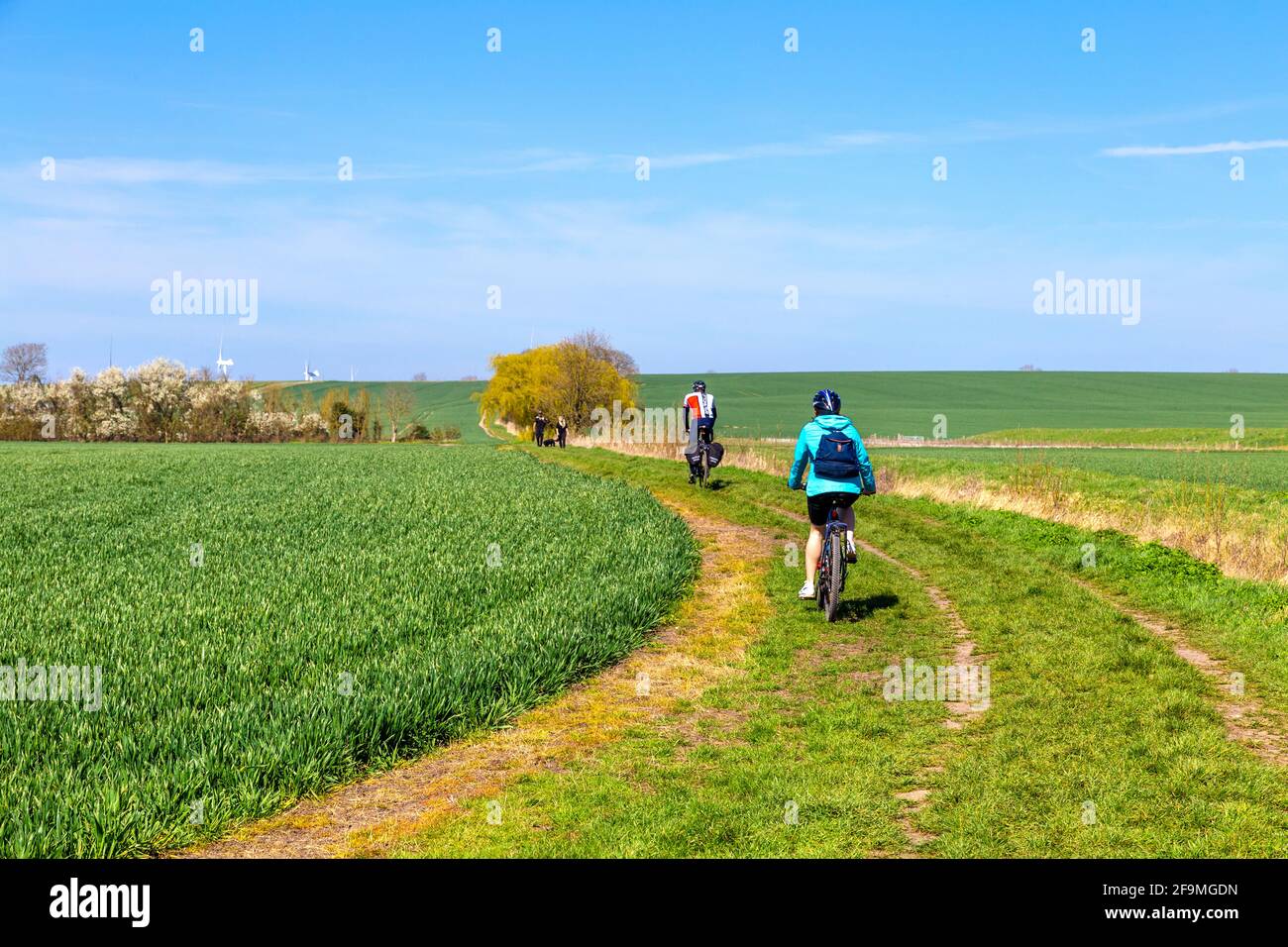 Two cyclists on a path between fields in the countryside between Stotfold and Henlow, Bedfordshire, UK Stock Photo