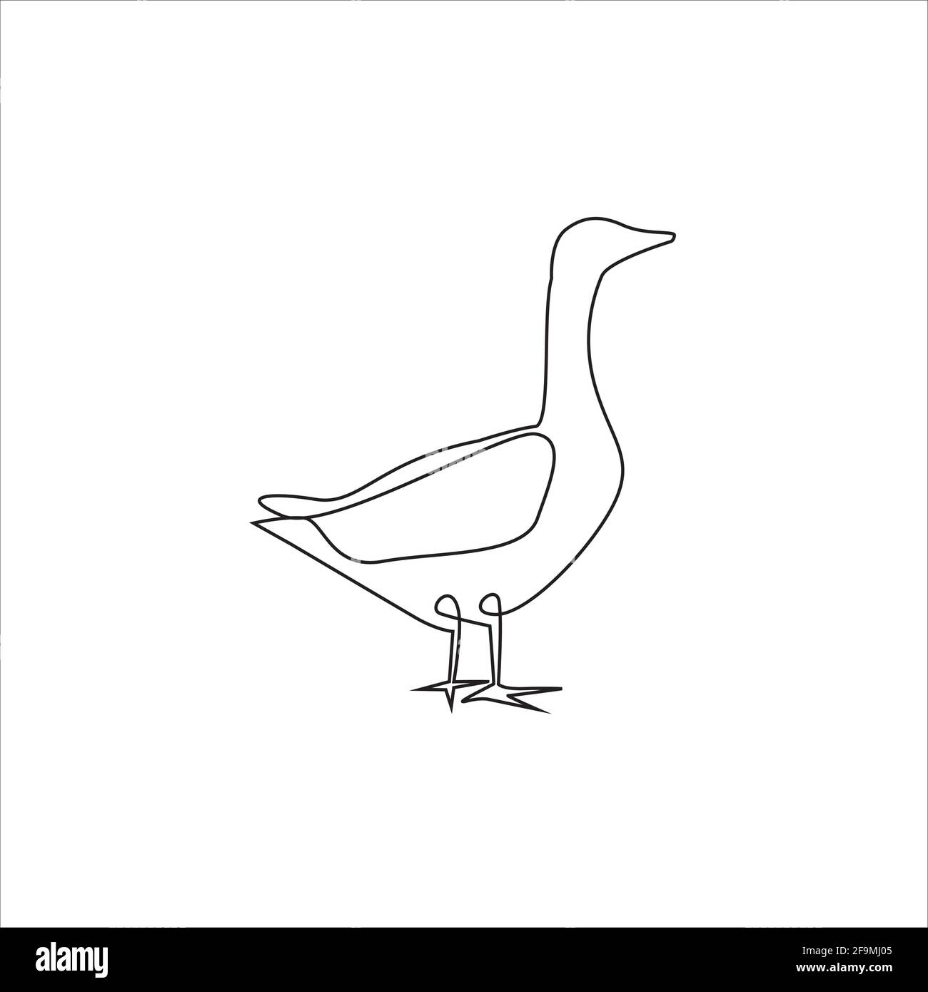 Minimalist One Line Green Head Duck Stock Vector Royalty Free 1965019402   Shutterstock