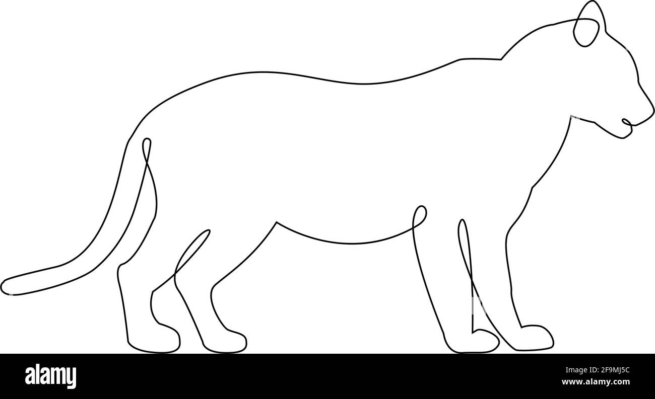 Minimalistic One Line Tiger or Lioness Icon on side view. Line drawing animal tattoo. Tiger one line hand drawing continuous Vector Illustration. Free Stock Vector Image & Art - Alamy Minimalistic One Line Tiger or Lioness Icon on side view. Line drawing animal tattoo. Tiger one line hand drawing continuous Vector Illustration. Free Stock Vector Image & Art - Alamy