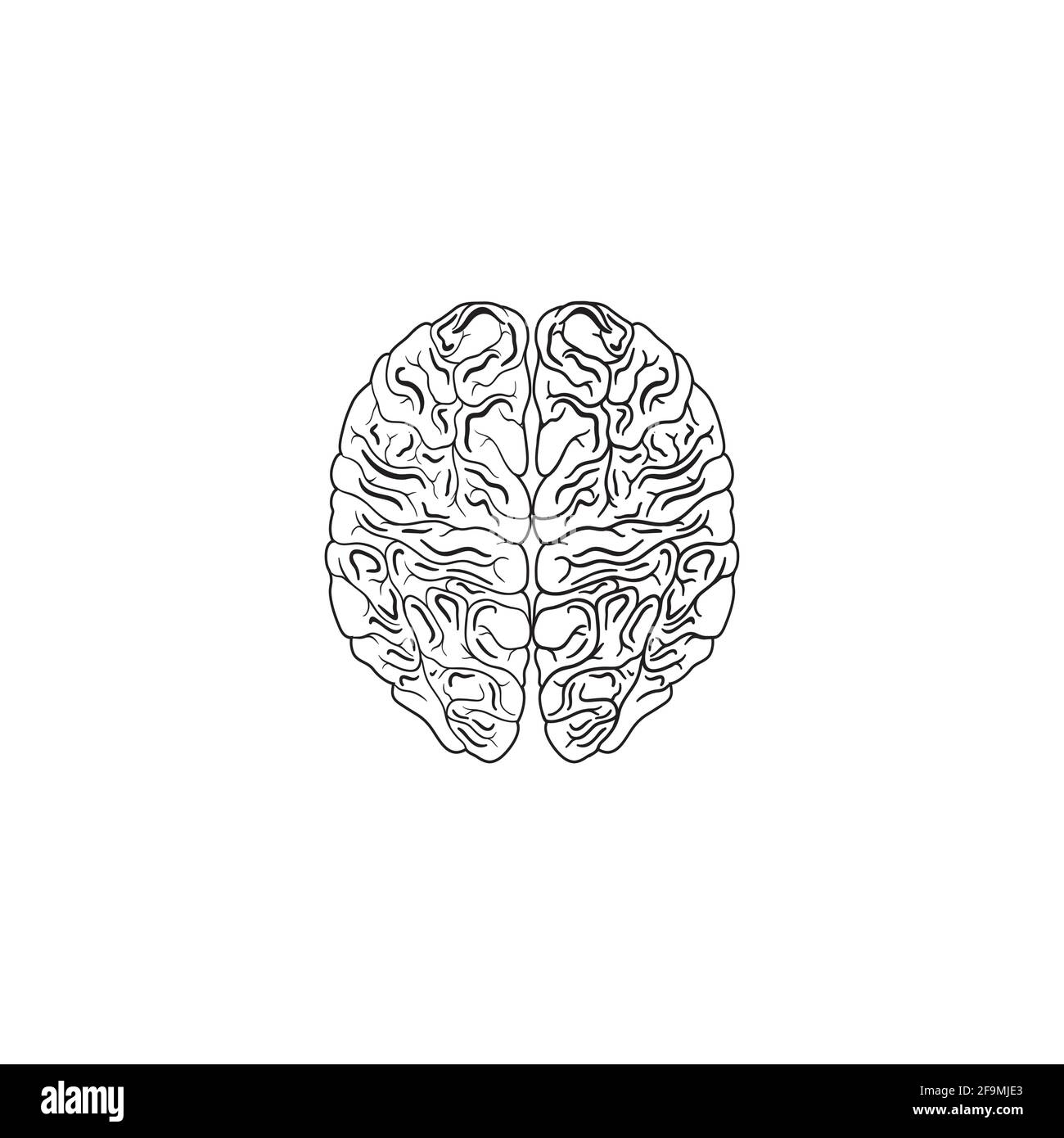 Modern Minimalistic Human Brain Line Icon Vector. Simple brain of human outline icon. Top View Brain Symbol isolated on white background. Stock Vector