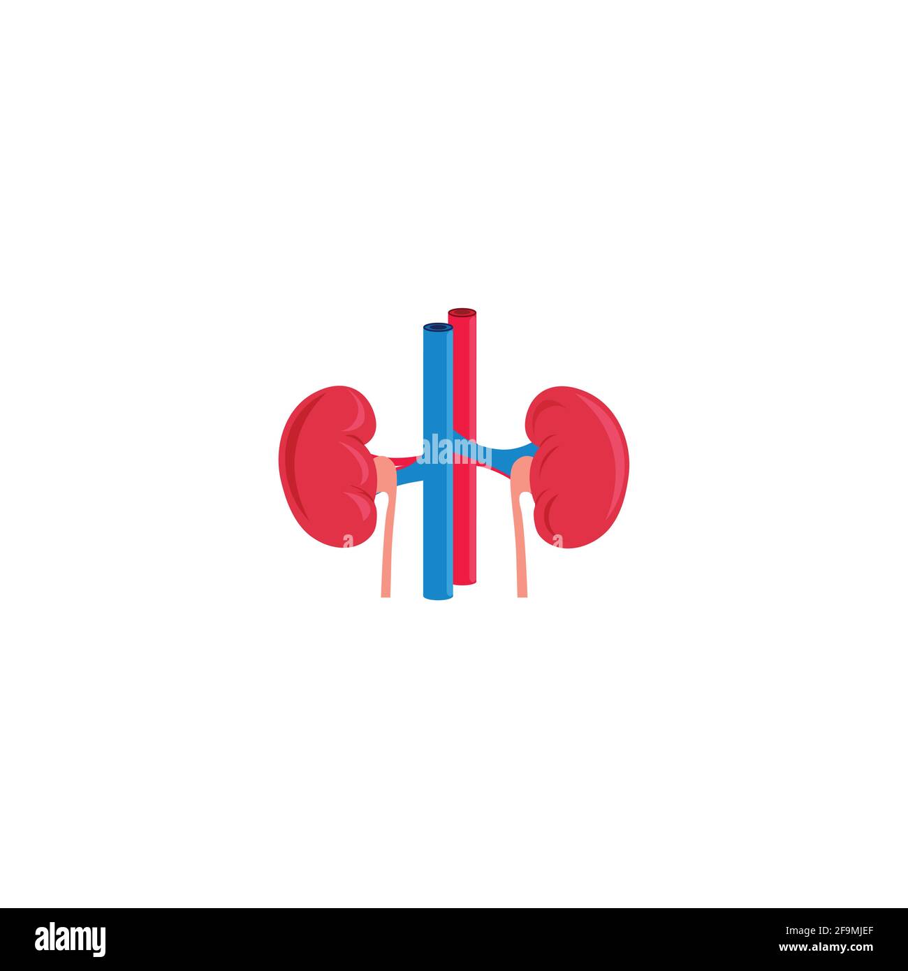 Modern Human Kidney with veins Icon Vector illustration. Simple Kidney sign for human anatomy, medical or healthcare concept. Kidney symbol isolated Stock Vector