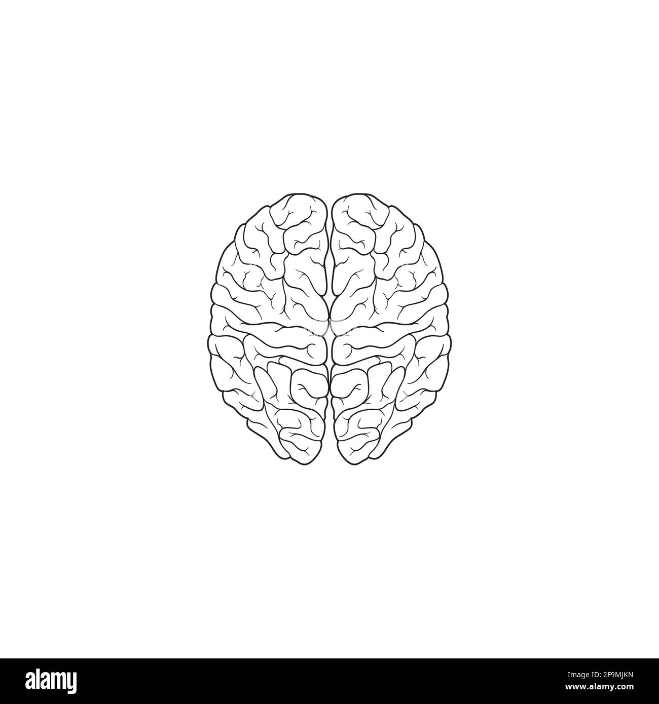Modern Human Brain Line Icon Vector illustration. Simple brain of human outline icon. Top View Brain Symbol isolated on white background. Stock Vector