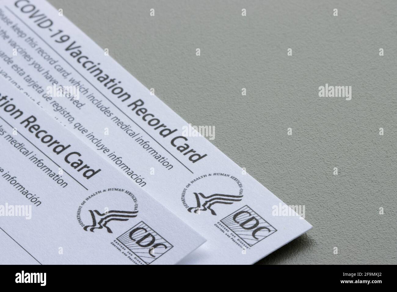 Covid-19 Vaccination record cards issued by CDC (United States Centers for Disease Control and Prevention) isolated on a gray background. Stock Photo