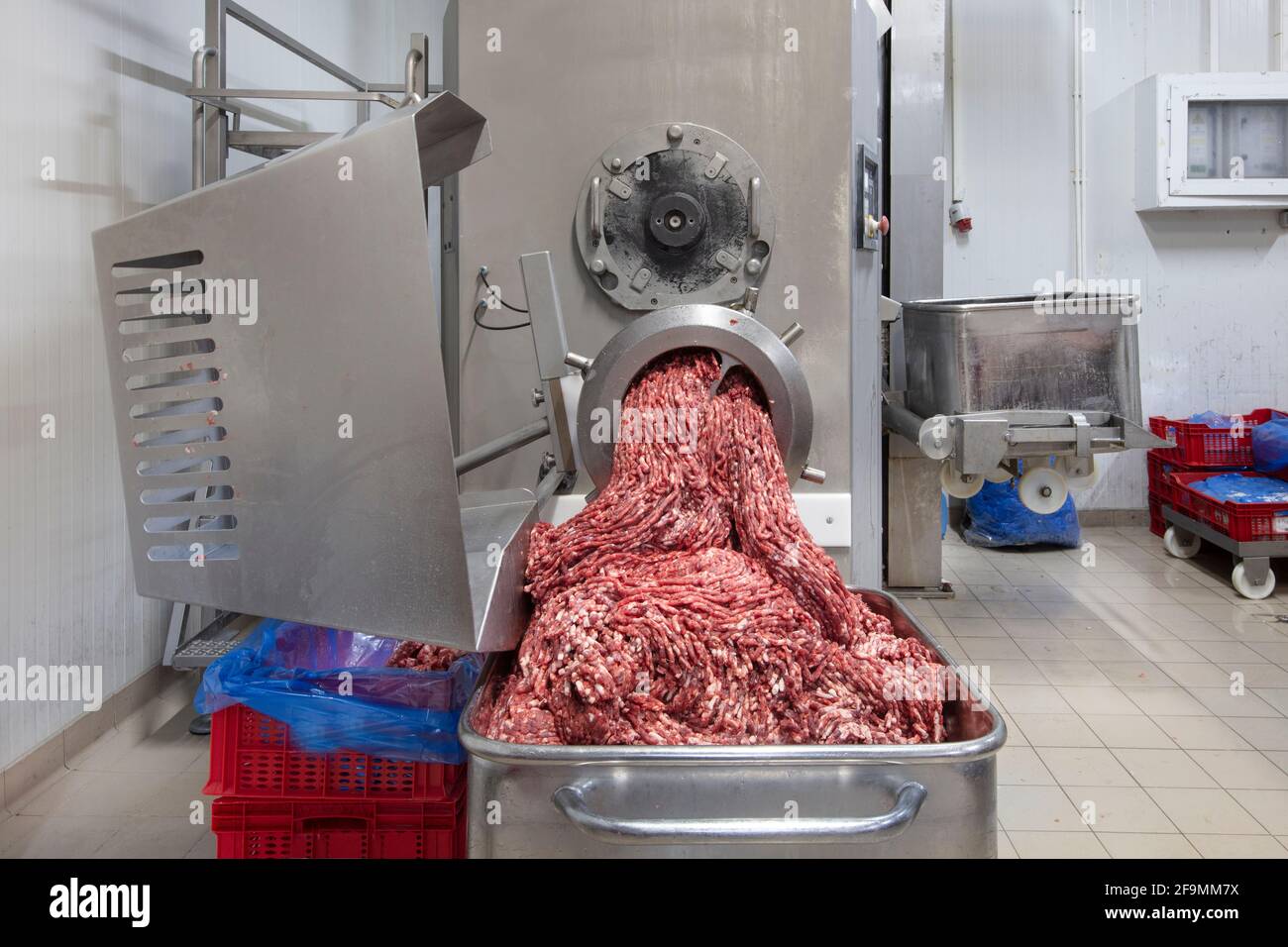 The meat in the Grinder. the meat industry. Minced meat being