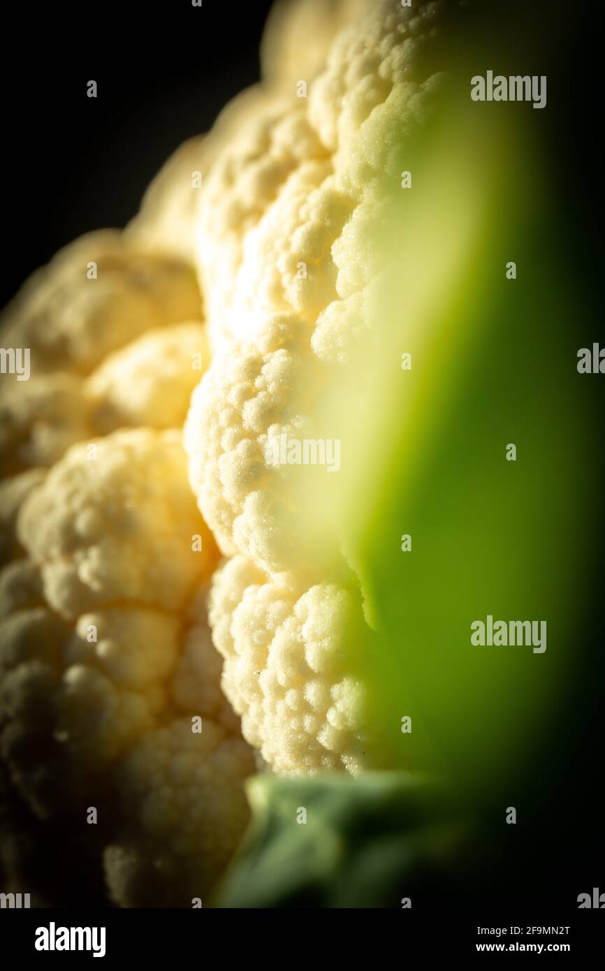 Close up of side of cauliflower head with dramatic light and shadow Stock Photo