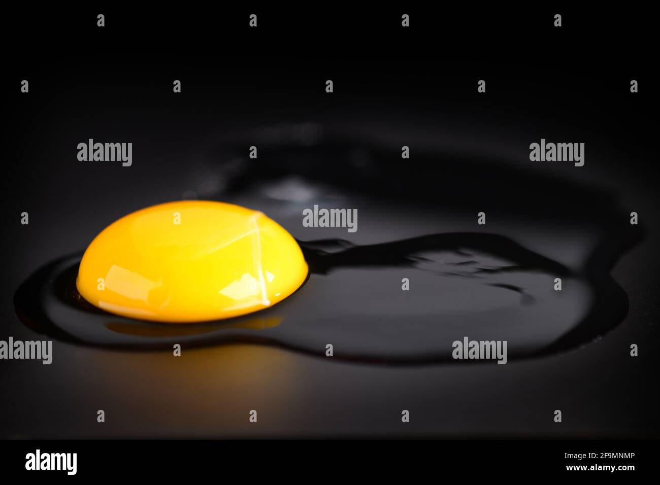 Image of an egg isolated on dark background Stock Photo