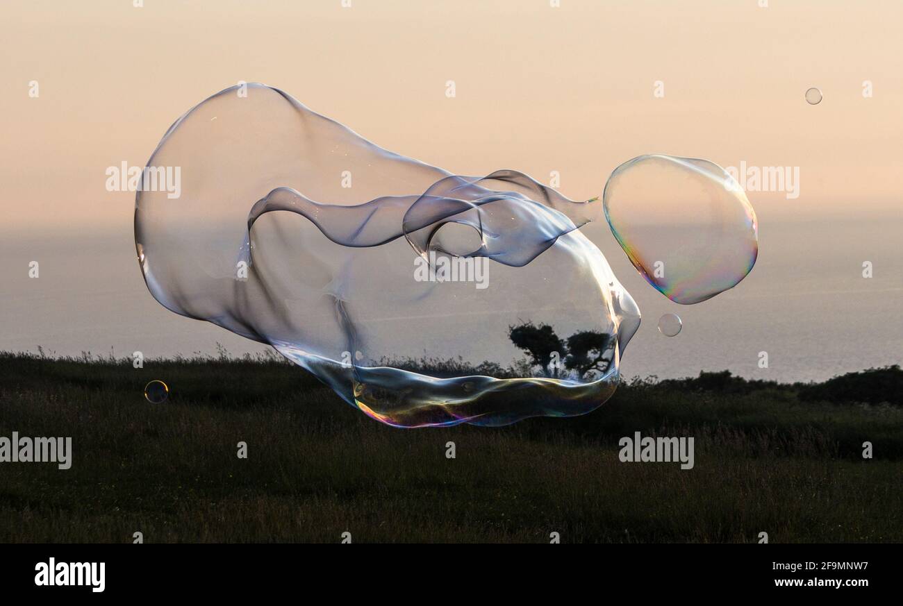 Giant soap bubble creature with iridescent rainbow colours during sunset Stock Photo