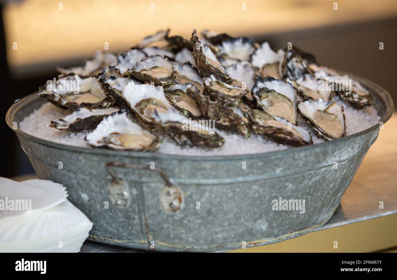 Freshly shucked oysters on ice at a corporate function Stock Photo