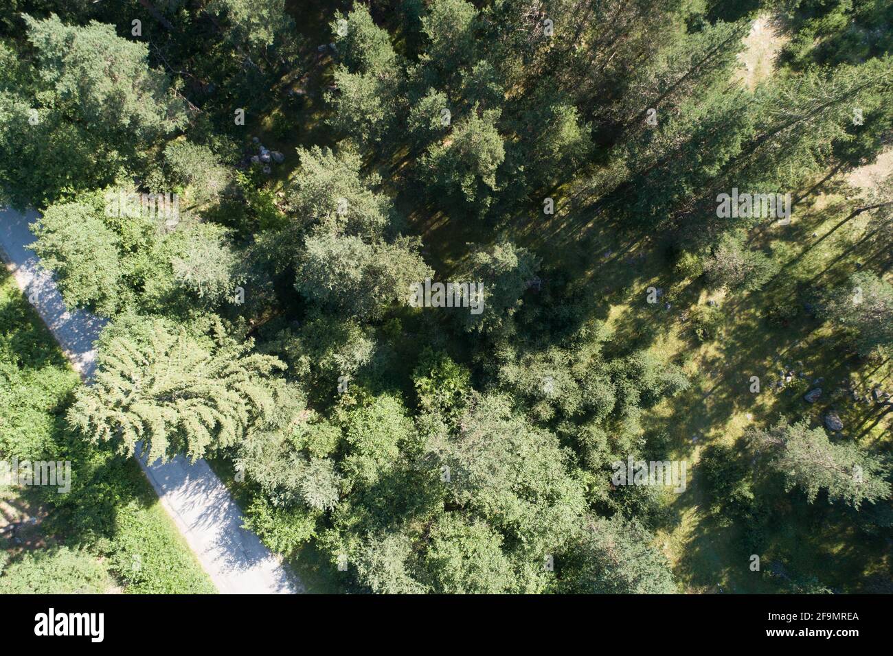 Mountain forest stones road hi-res stock photography and images - Alamy
