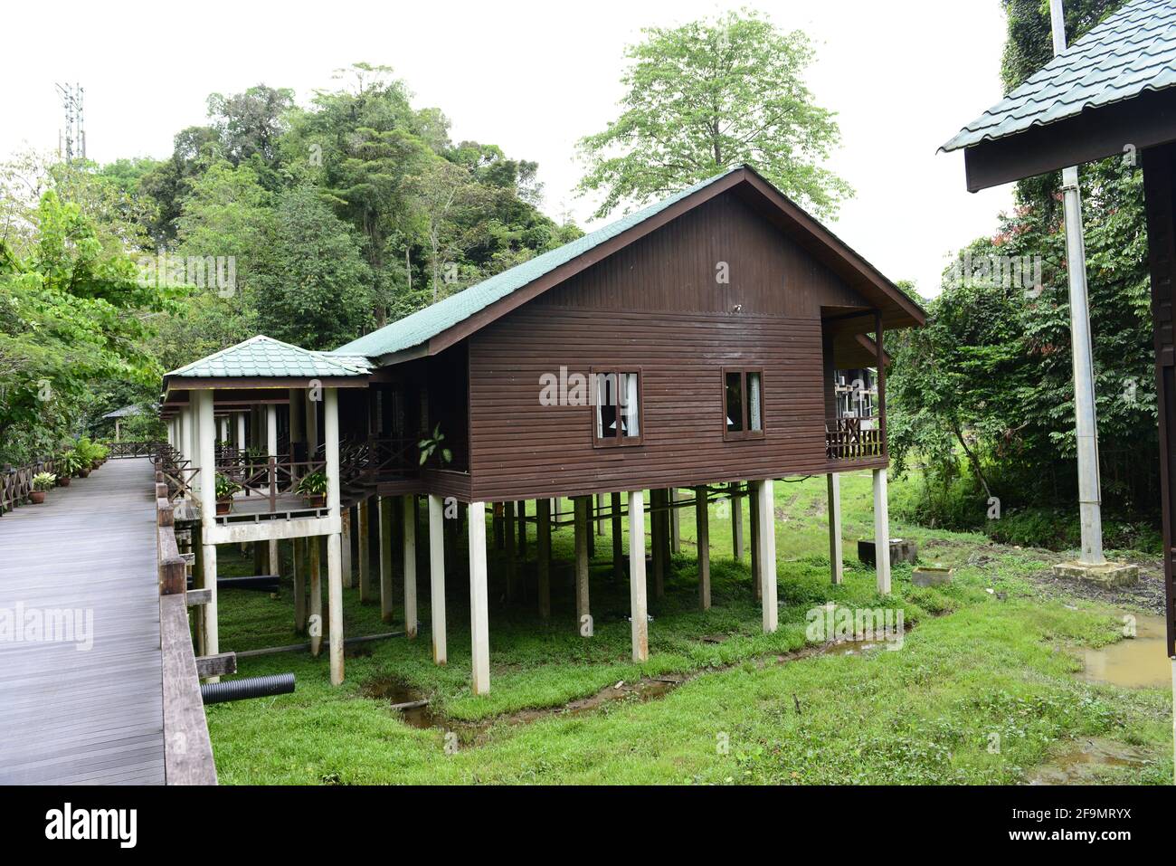 Rainforest lodge in Mulu national park. Stock Photo