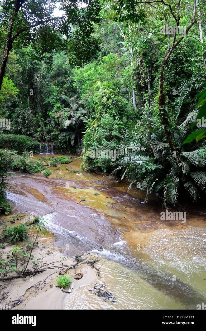 A beautiful waterfall in Lambir Hills National Park in Sarawak. Stock Photo