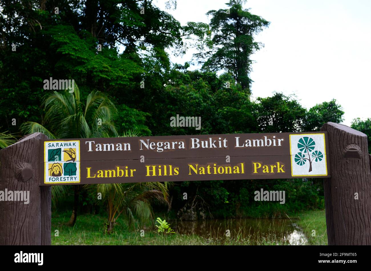 Lambir Hills National Park - O que saber antes de ir (ATUALIZADO 2023)
