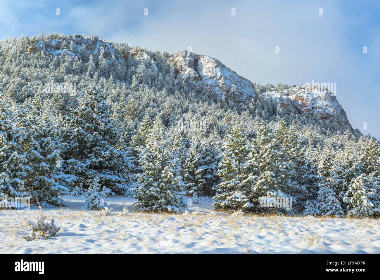 Helena montana snow hi-res stock photography and images - Alamy