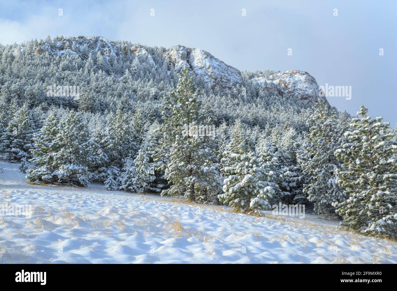 winter snow on mount helena at helena, montana Stock Photo Alamy