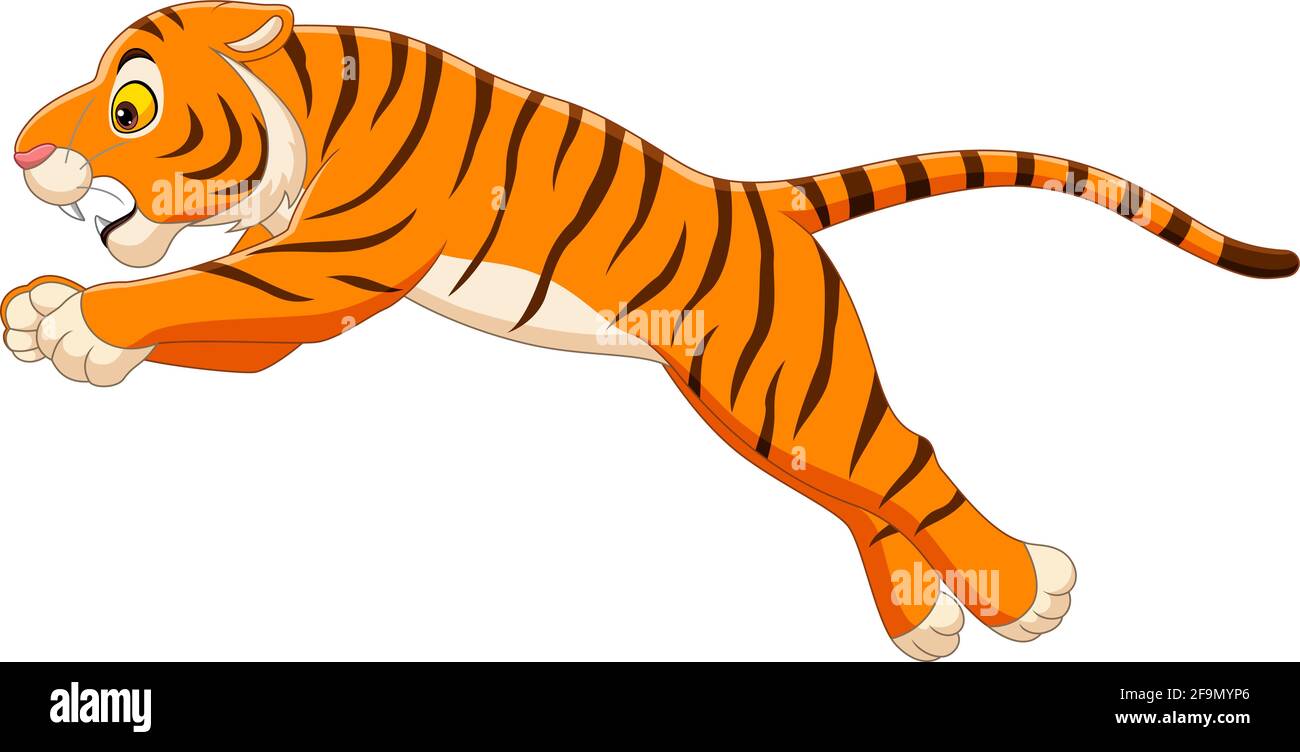 Cartoon funny tiger jumping on white background Stock Vector