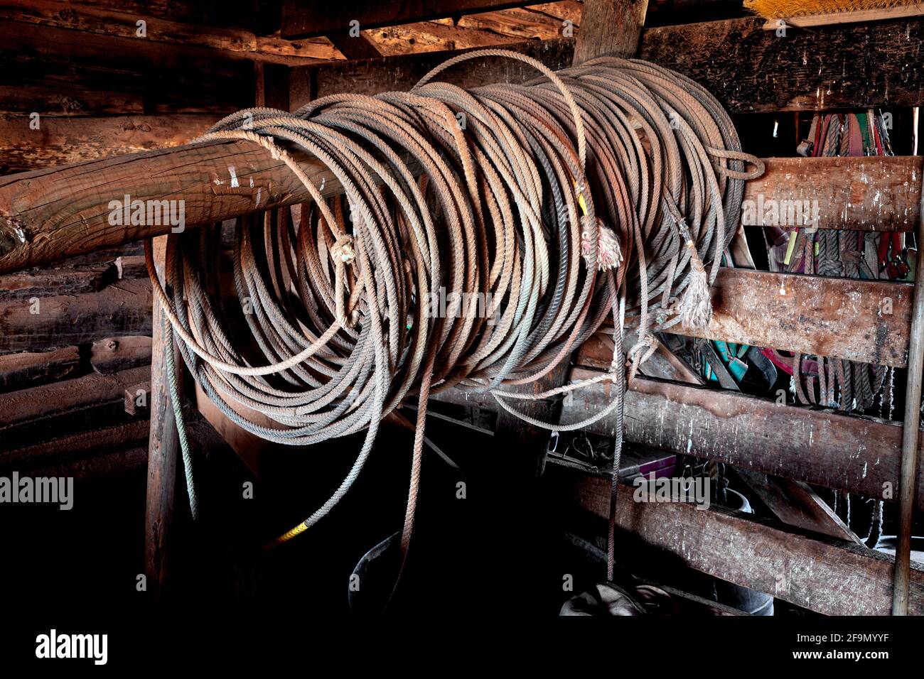 WY04126-00....WYOMING - Lariats stacked up in the barn at the Willow Creek Ranch. Stock Photo