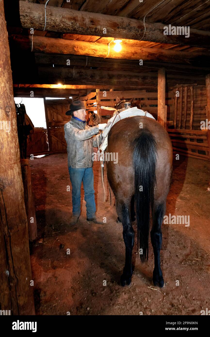 WY04142-00....WYOMING - Ord Buckingham saddles up his horse for the days work.  MR# B20 Stock Photo