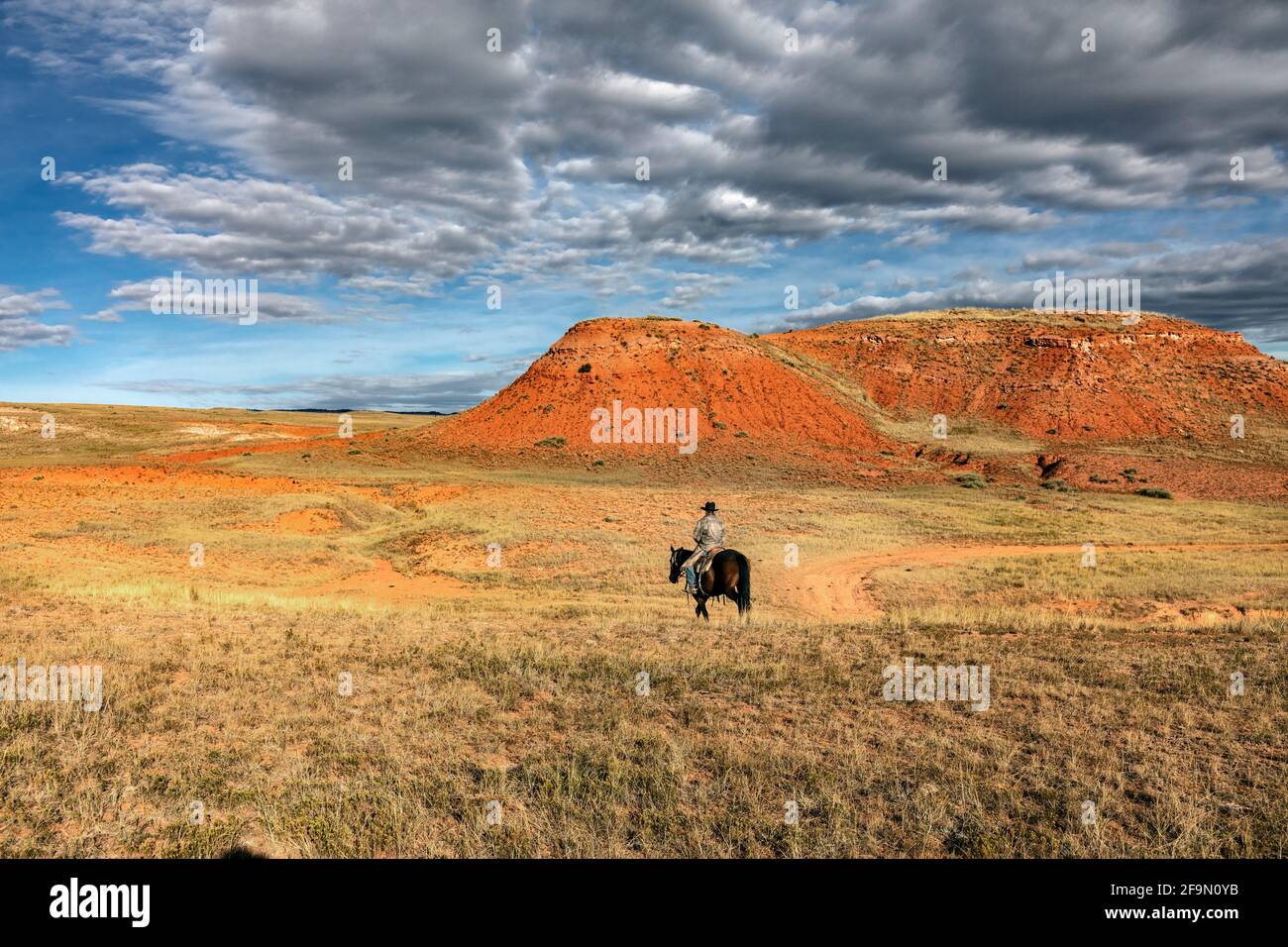 WY04146-00...WYOMING - Ord Buchingham ridding the open range of the Willow Creek Ranch. MR# B20 Stock Photo