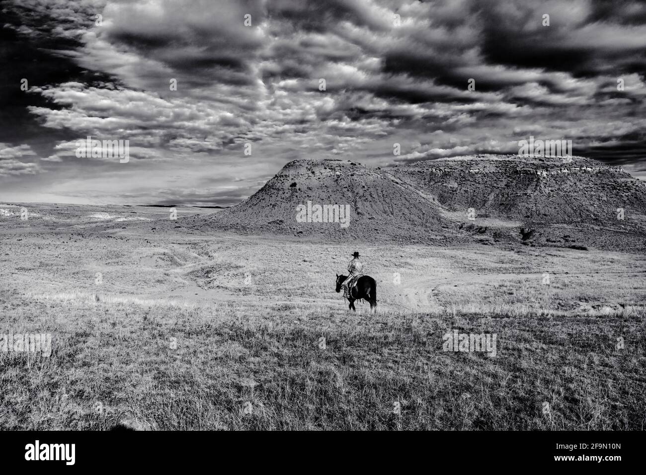 WY04146-00-BW...WYOMING - Ord Buchingham ridding the open range of the Willow Creek Ranch. MR# B20 Stock Photo