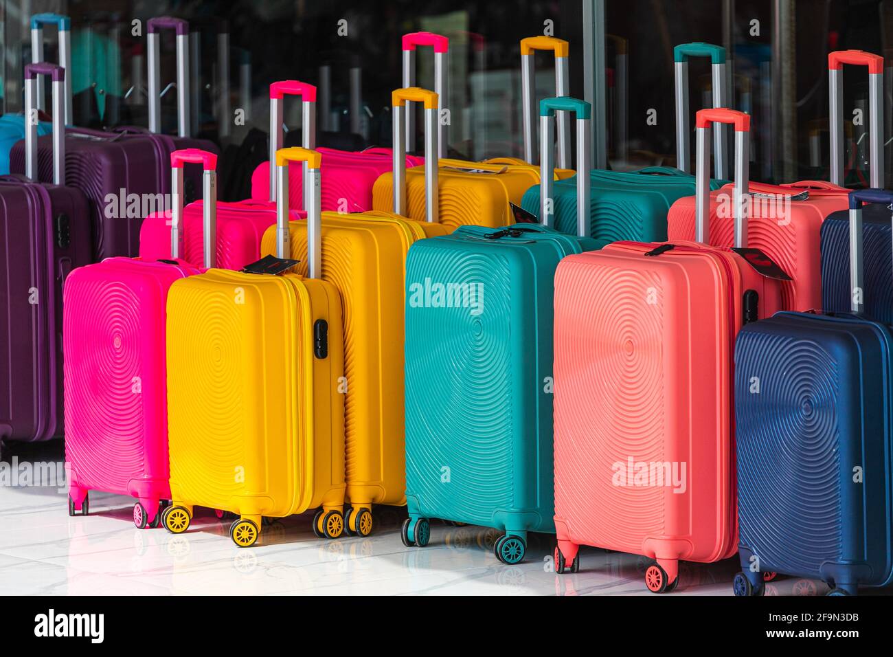 Bright blue, pink, yellow rows of 
