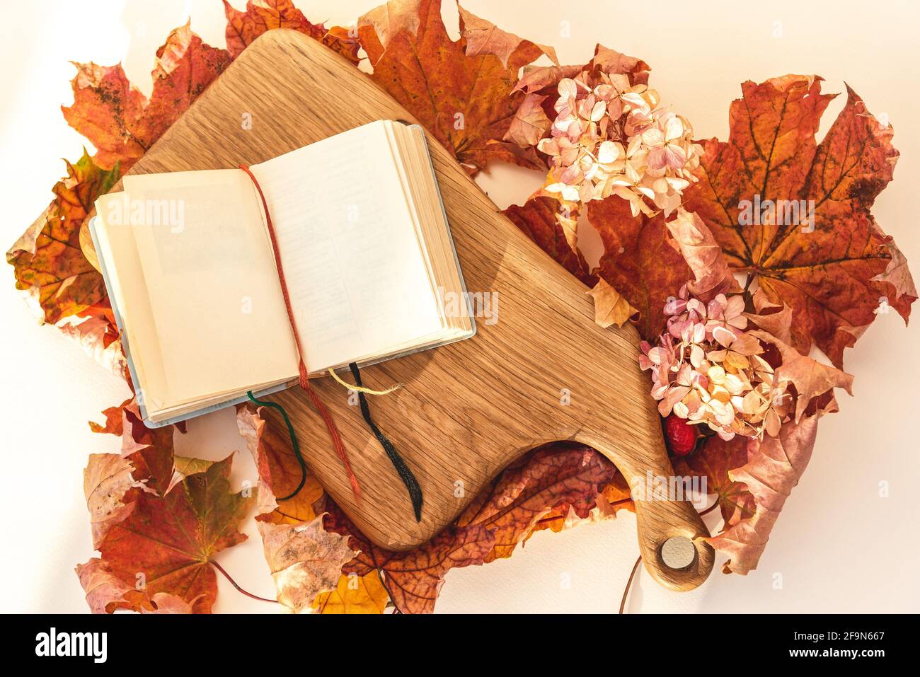 Open diary on wooden board and fall maple leaves Stock Photo