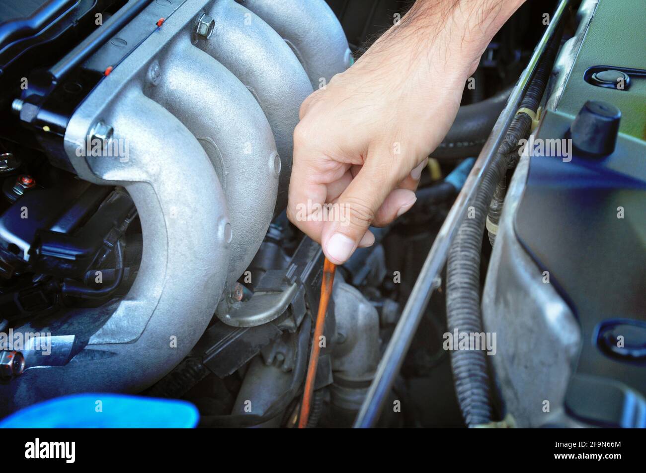 Hand pulling dipstick checking car engine oil Stock Photo Alamy
