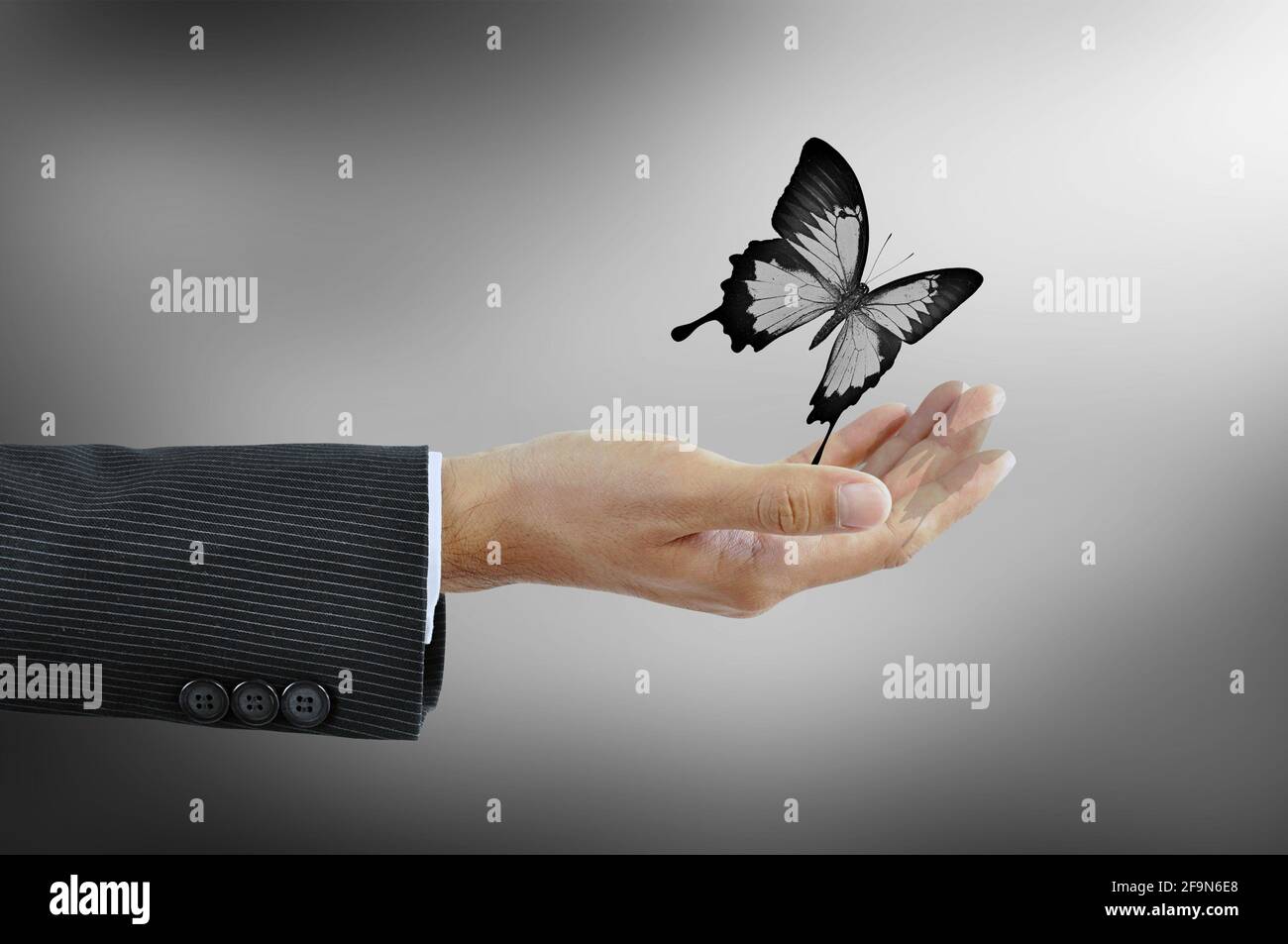 Hand releaasing a butterfly  - business abstract Stock Photo