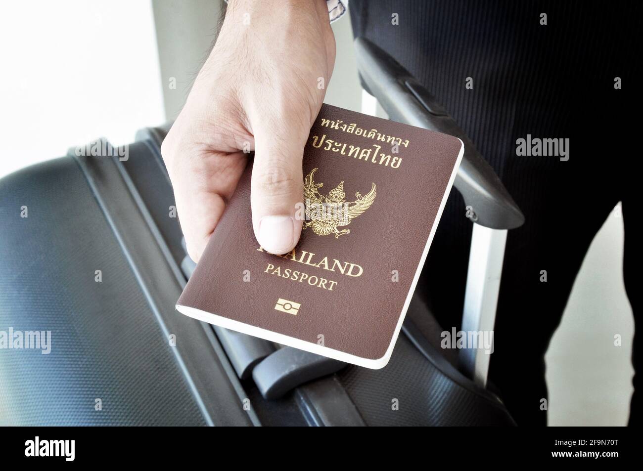 Hand holding passport Stock Photo Alamy