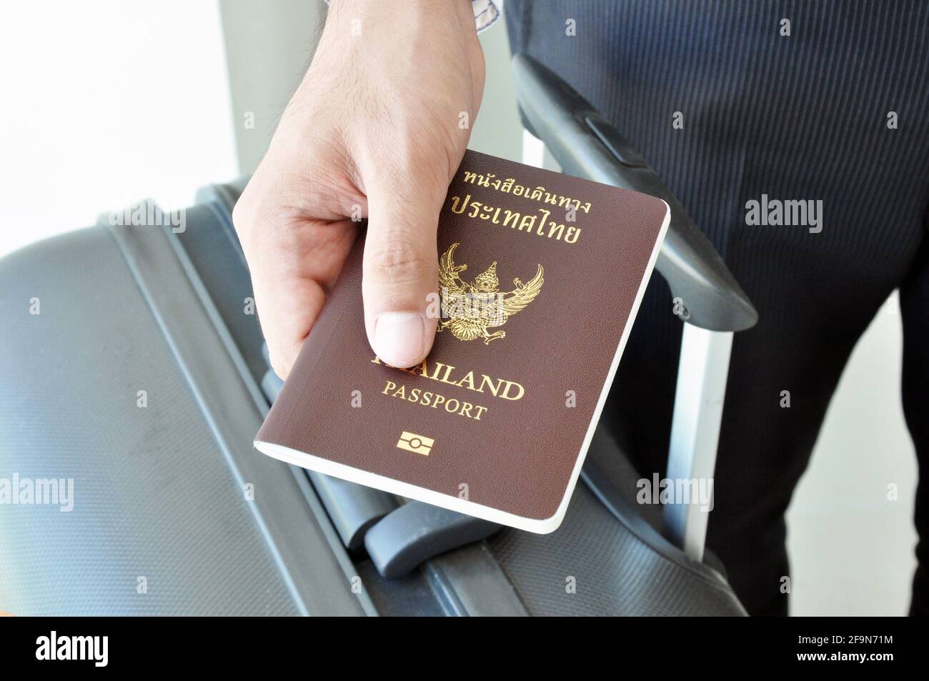 Hand holding passport Stock Photo - Alamy