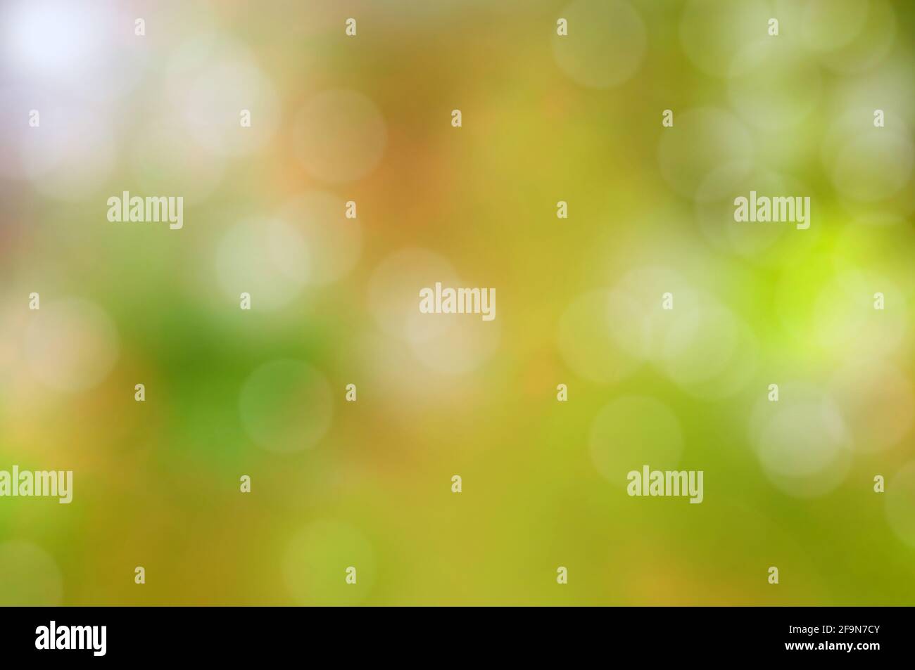 Abstract colorful green background with bokeh or lens flare effect Stock Photo