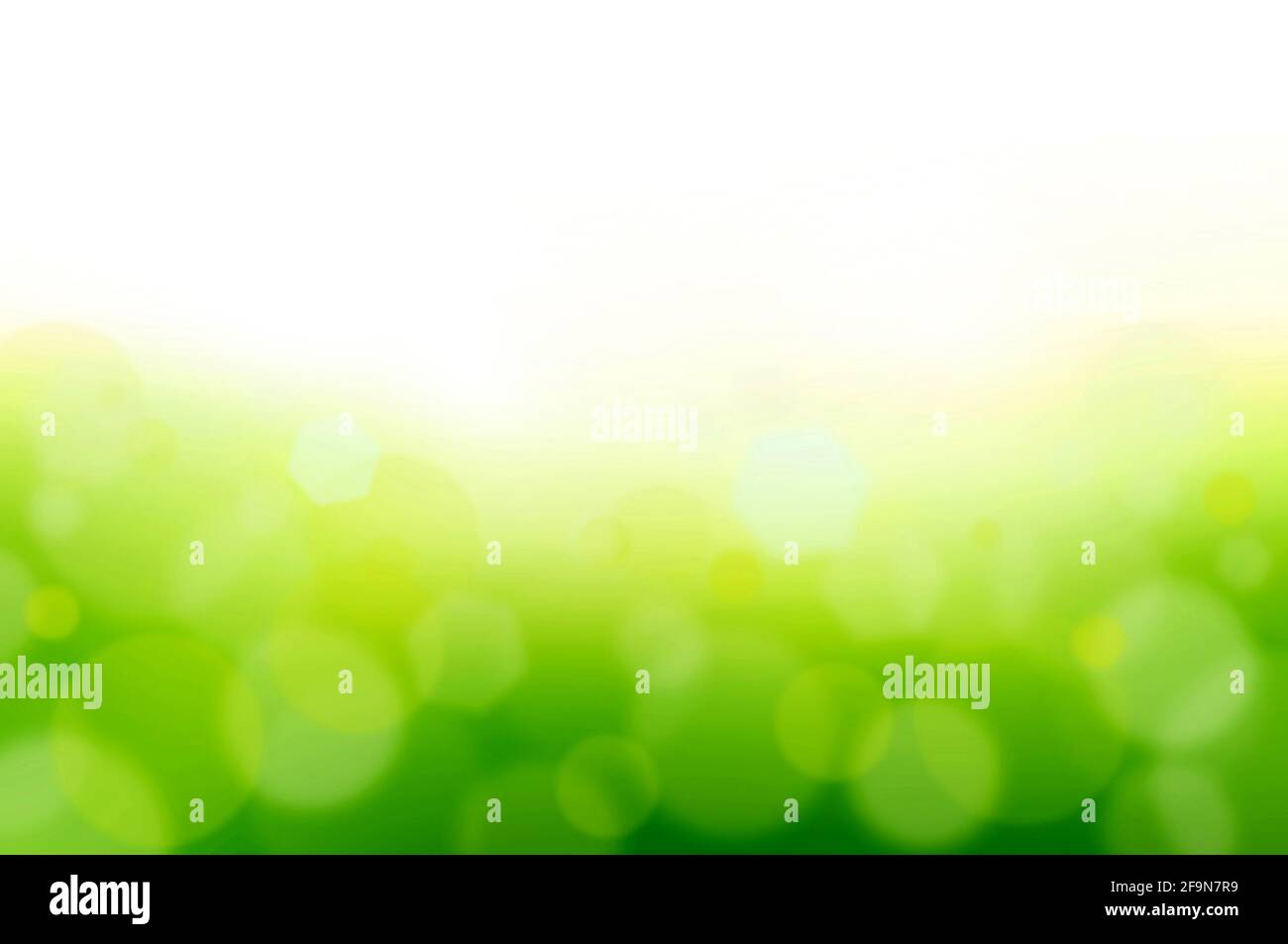 White & green abstract background with bokeh & lens flare effect Stock Photo