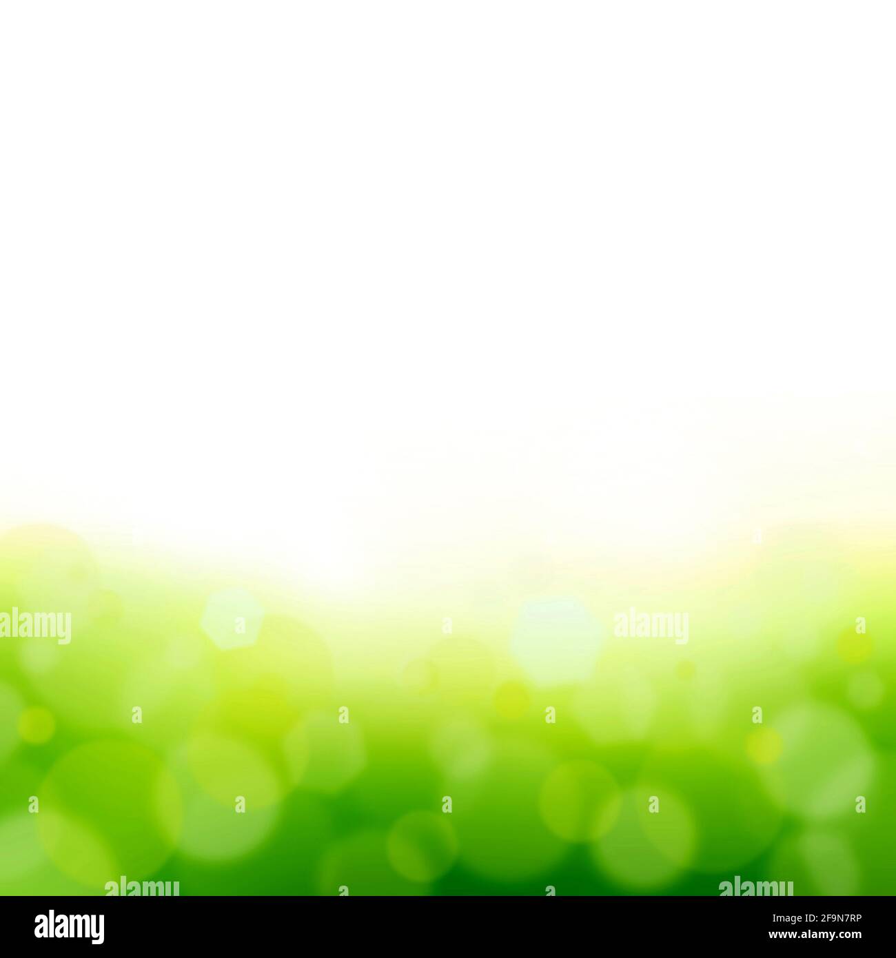 White & green abstract background with bokeh & lens flare effect Stock Photo