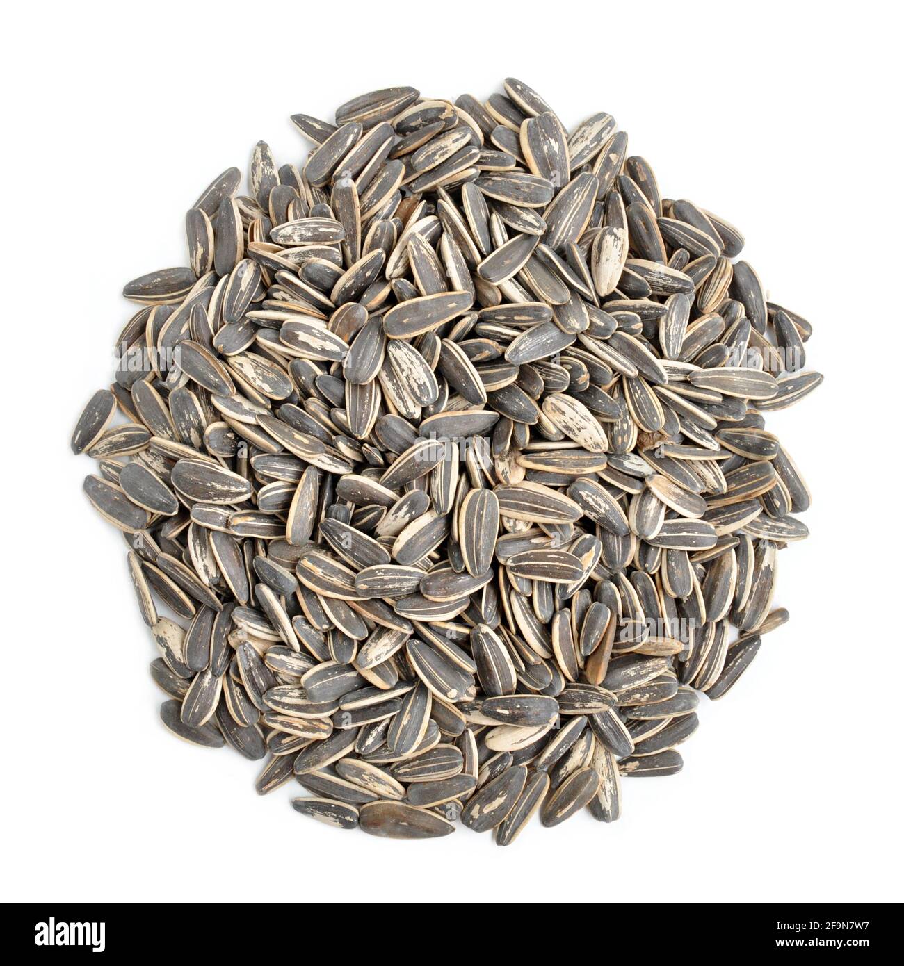 Sunflower seeds with shells Stock Photo