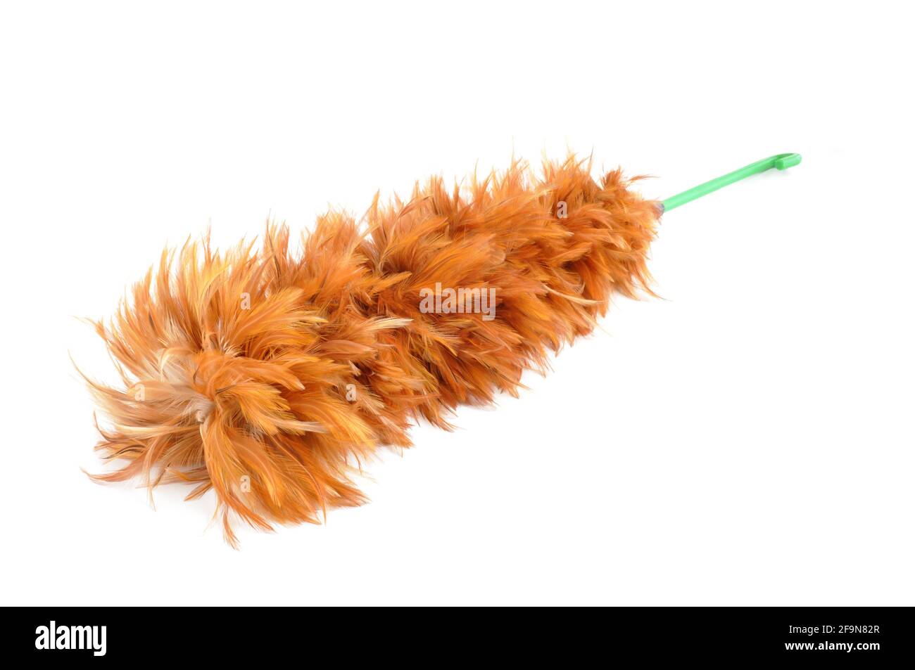 Chicken feather duster isolated on white background Stock Photo Alamy