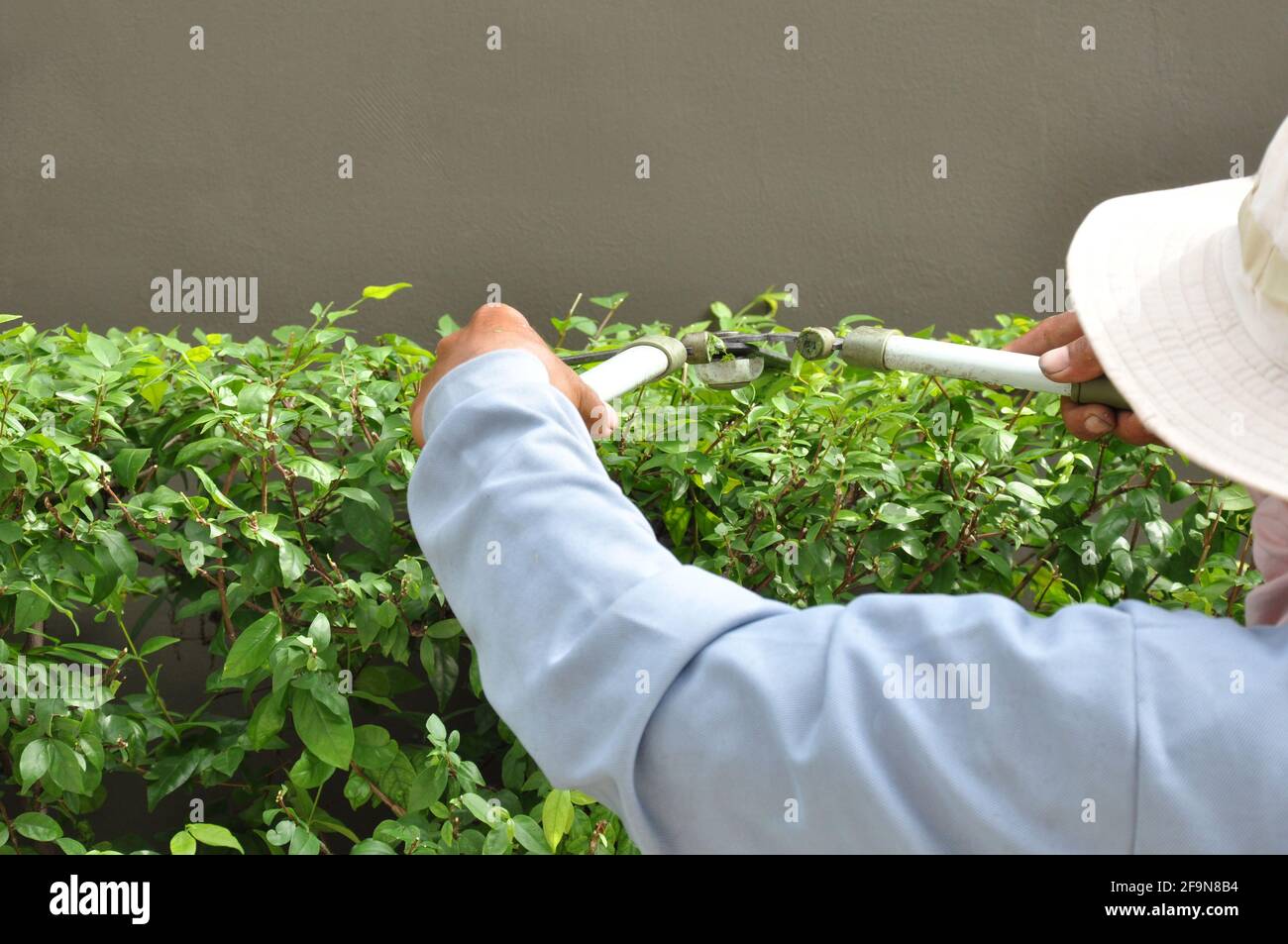 Gardener cutting grass hires stock photography and images Alamy