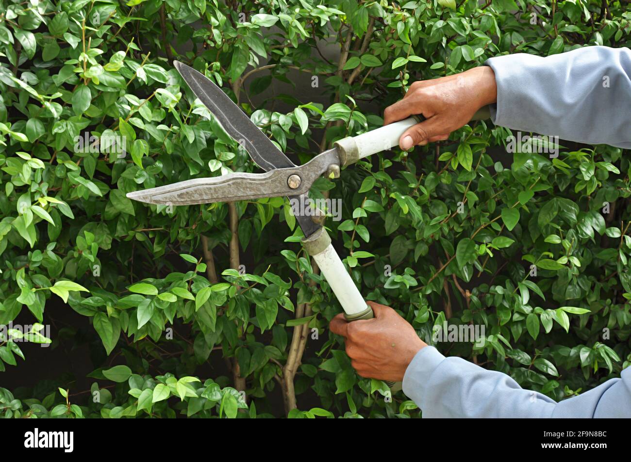 Gardener cutting grass hires stock photography and images Alamy