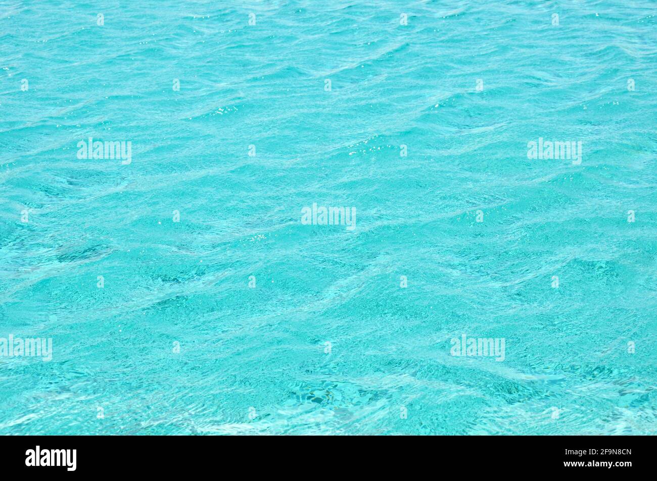 Rippled blue water in swimming pool Stock Photo