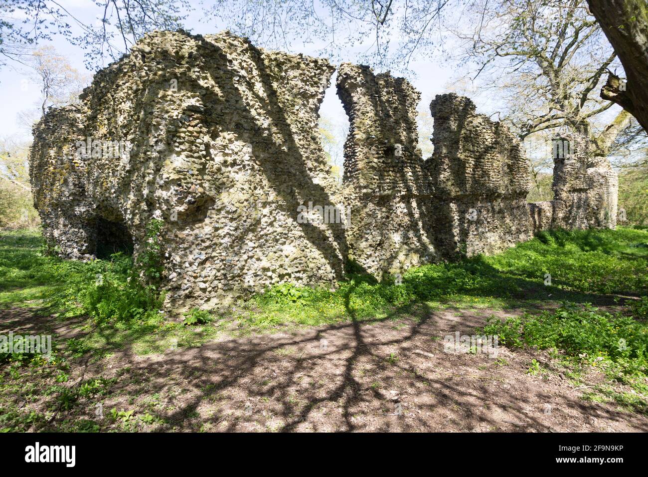 Flint and mortar walls of the ruins of The Minster, South Elmham, Suffolk, England, UK Stock Photo