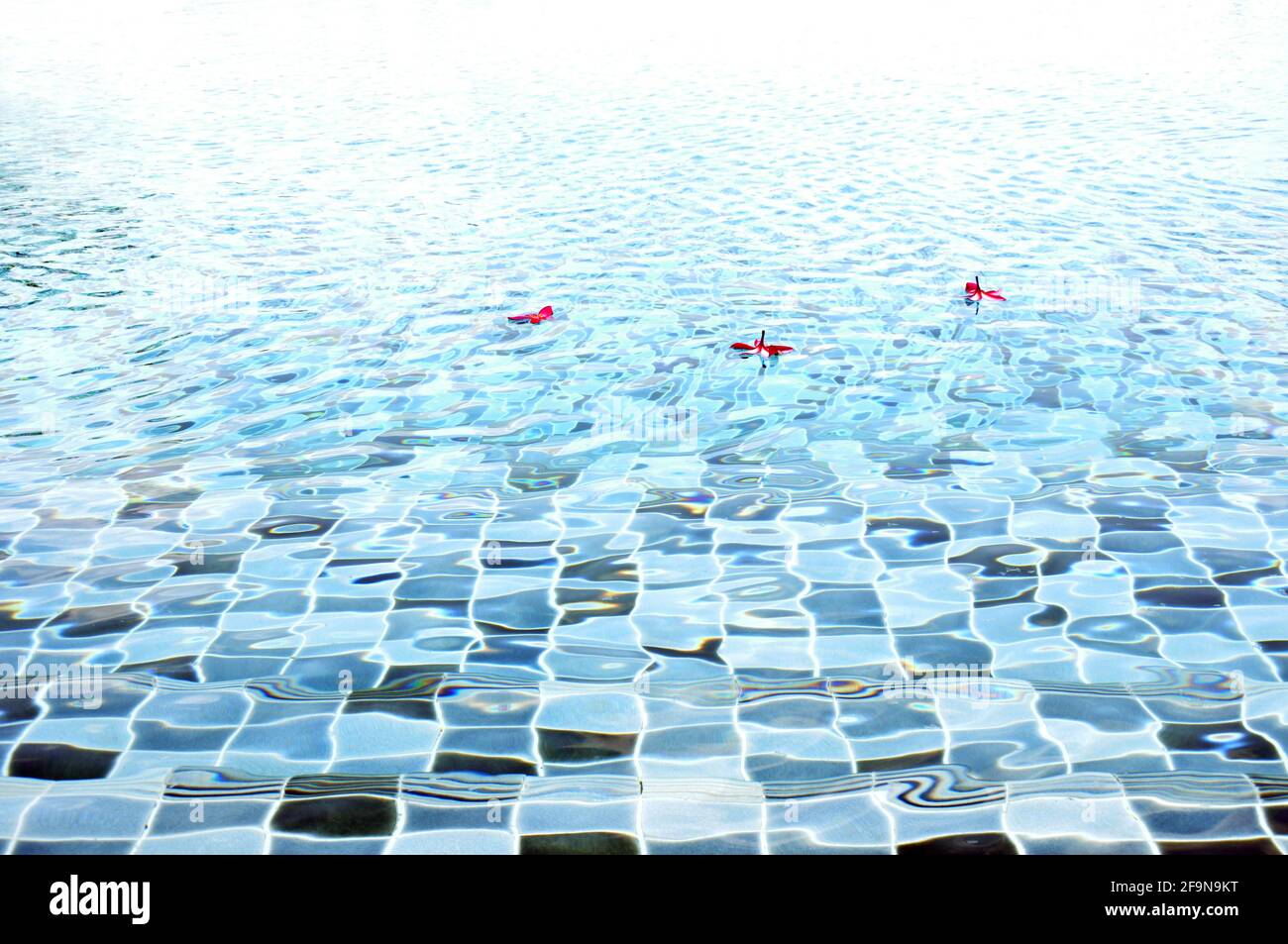 Rippled water texture in swimming pool Stock Photo