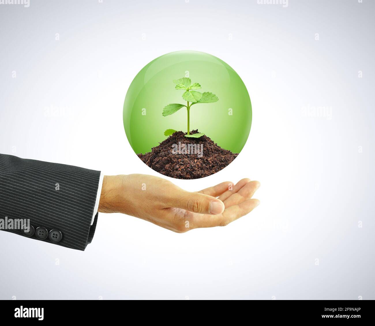 Businessman hand holding green sapling with soil in the globe Stock Photo