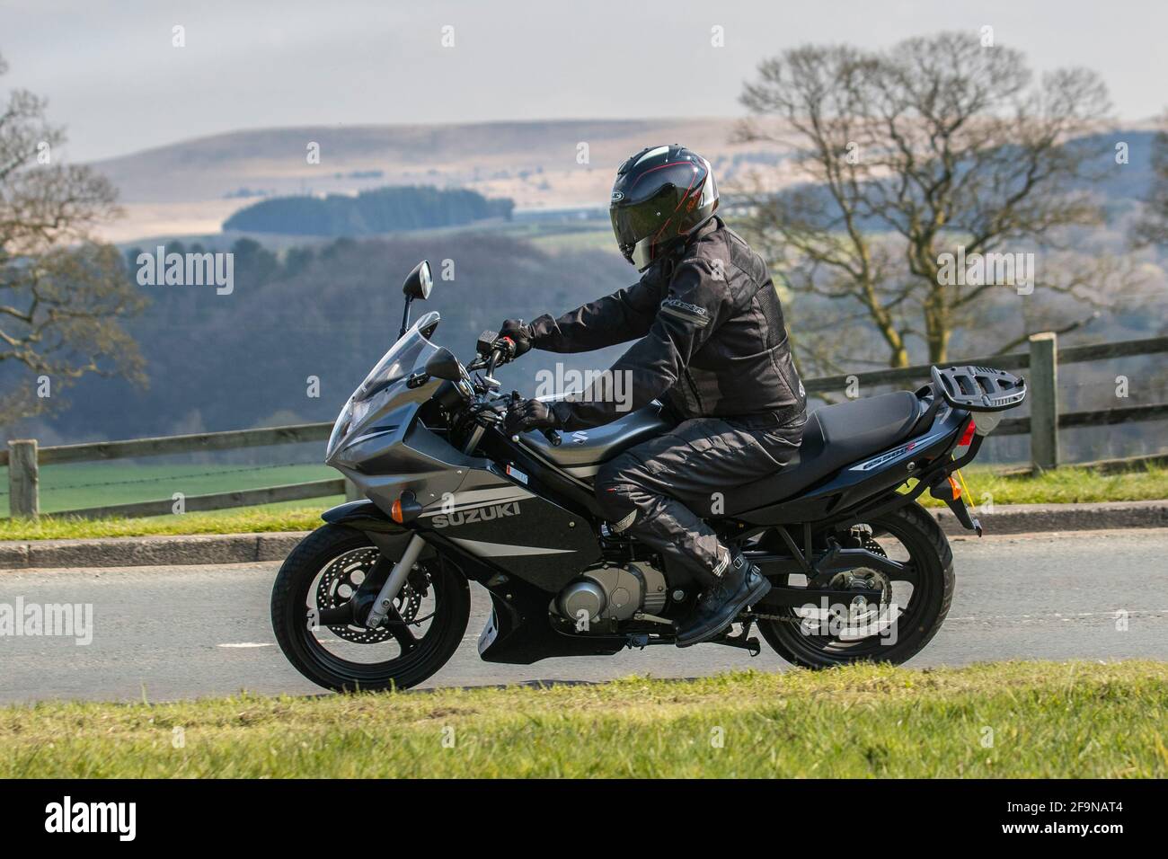 2008 suzuki gs500f