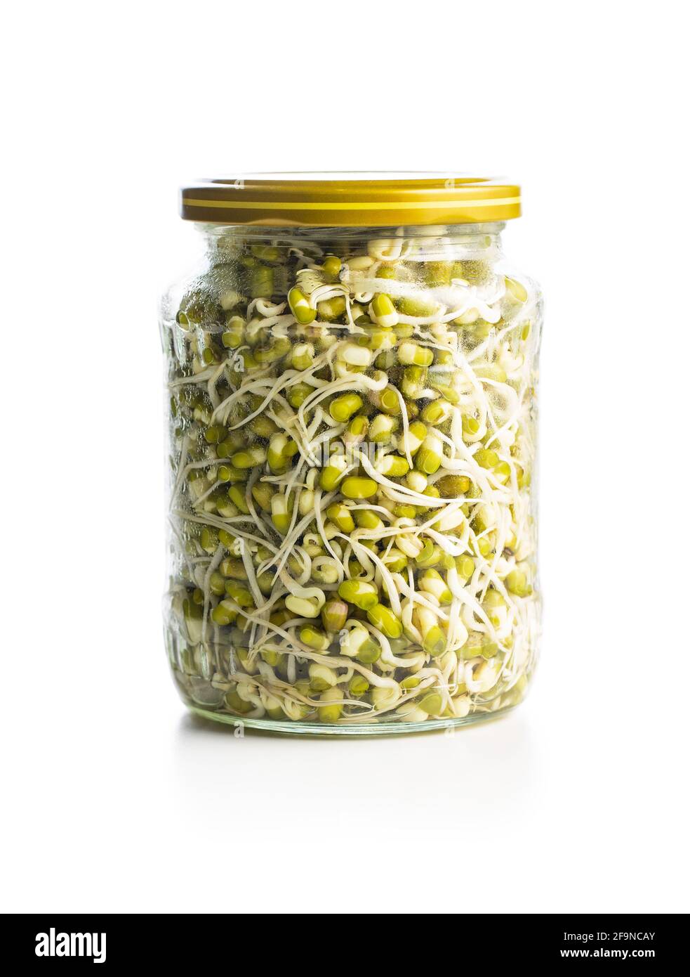 Sprouted green mung beans. Mung sprouts in jar isolated on white