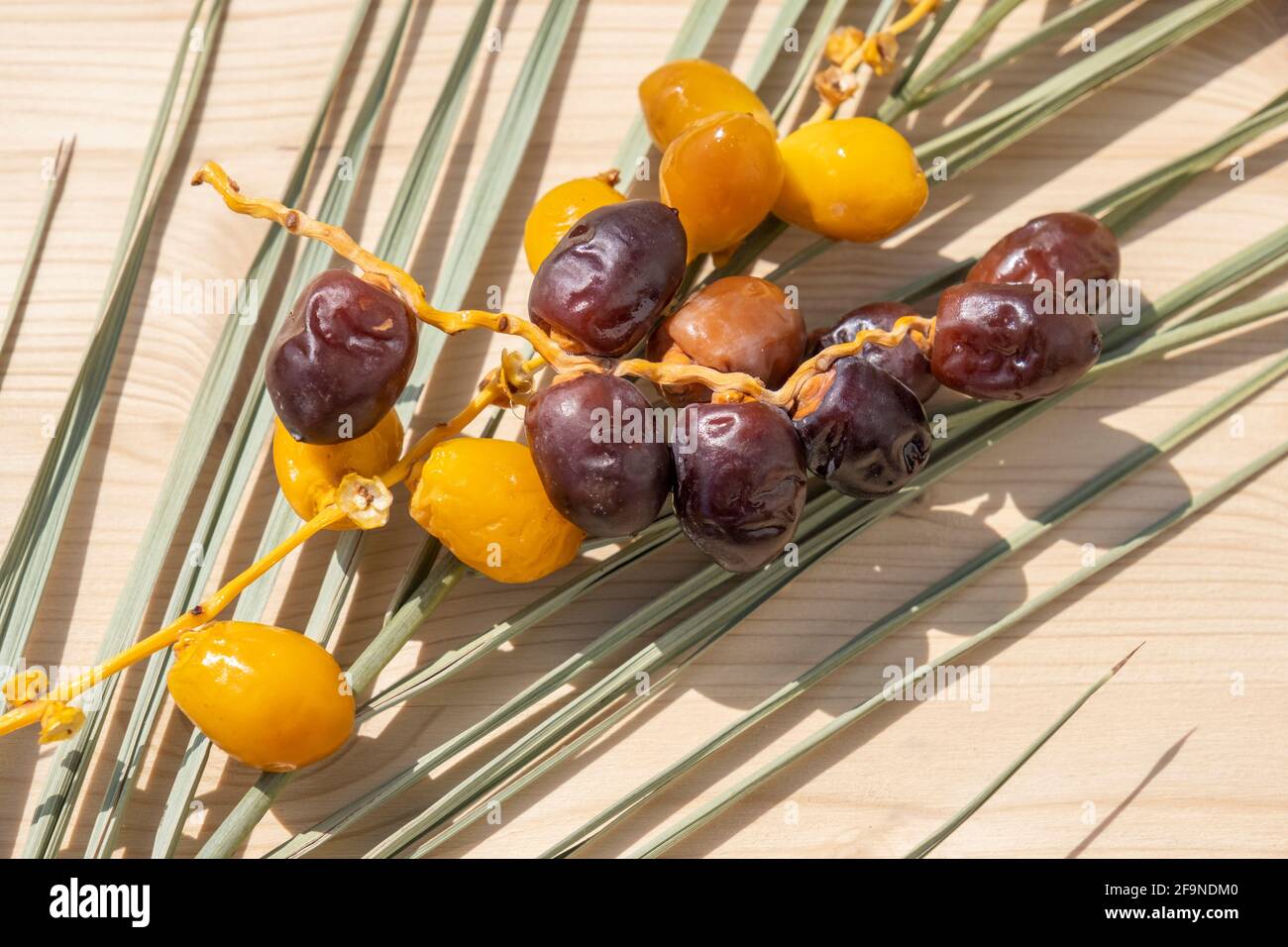Holy Muslim Ramadan fasting concept: Many brown and yellow date fruits lying on a palm tree leaf. Vegan food background with copy space. Nobody. Sweet Stock Photo