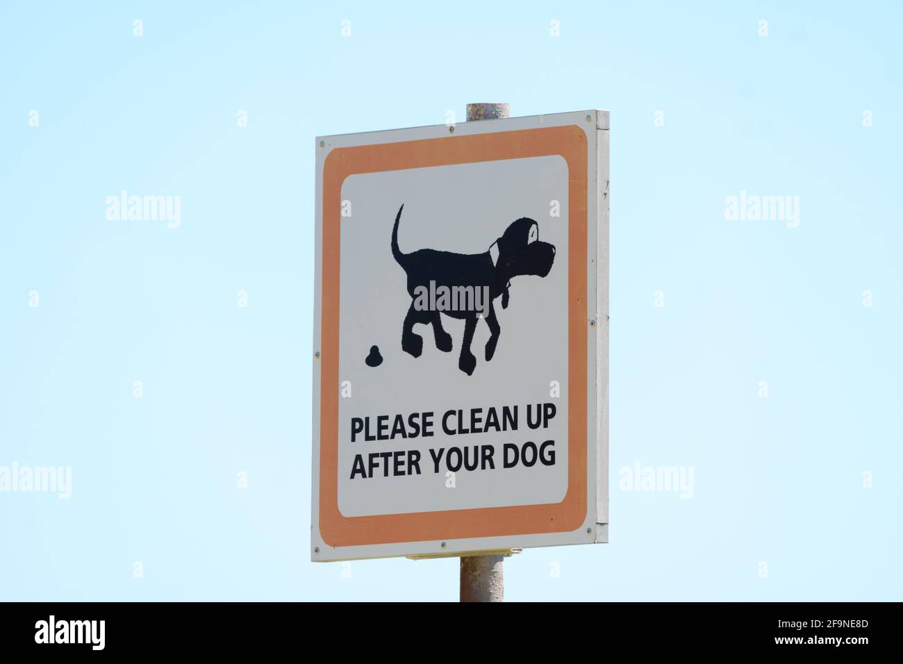 sign in park with text or words please clean up after your dog concept pet hygiene Stock Photo
