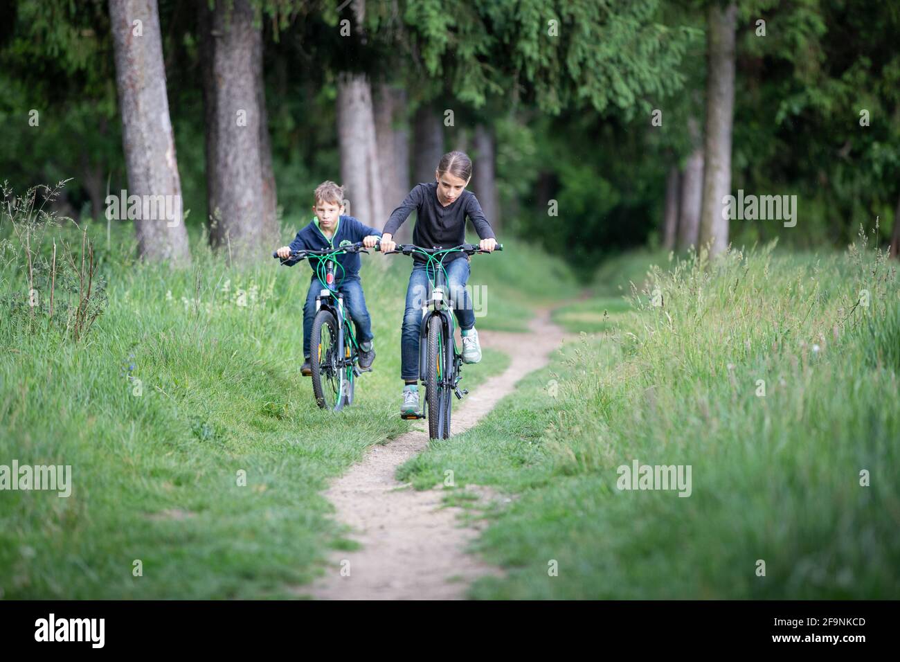 Girl and her younger brother ride bicycles in park Stock Photo
