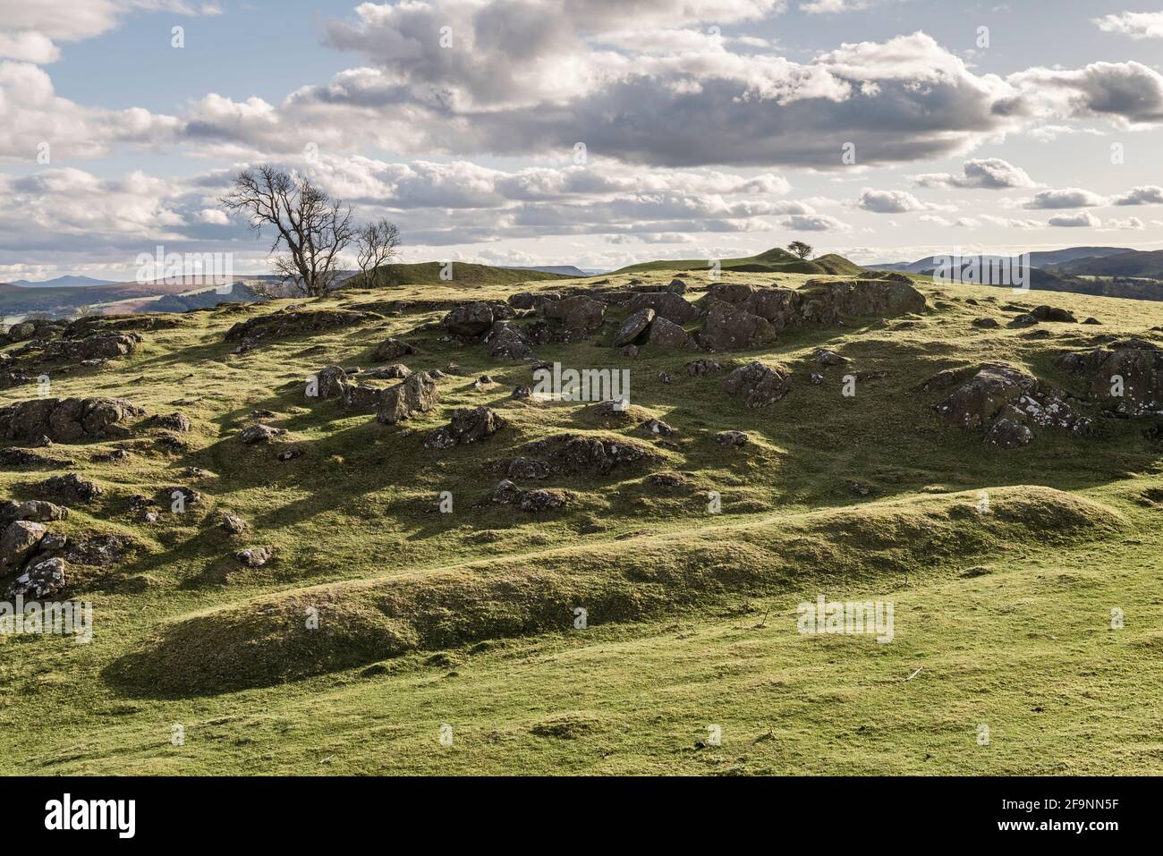 A medieval pillow mound or artificial rabbit warren on the Iron Age
