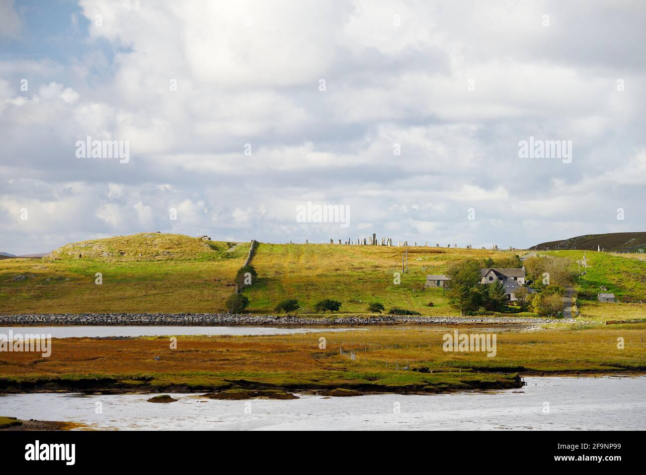 Tursachan prehistoric stones at Callanish, Lewis, Scotland aka Callanish I. View from east showing stones sited on spine of crag and tail landform Stock Photo