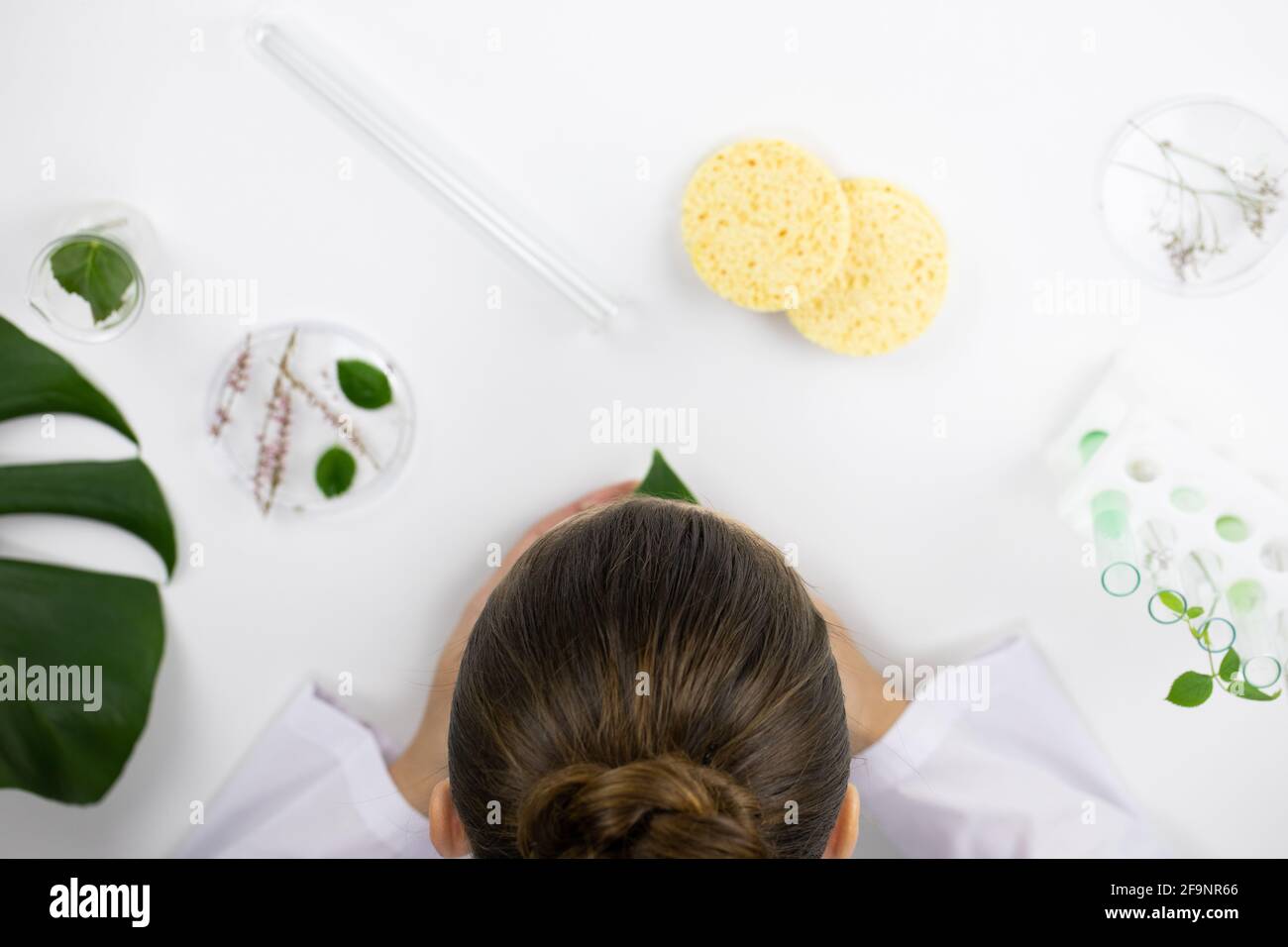 Cosmetologists Head Above Cosmetic Lab Table With Cosmetic Sponges Glass Flasks Stock Photo Alamy