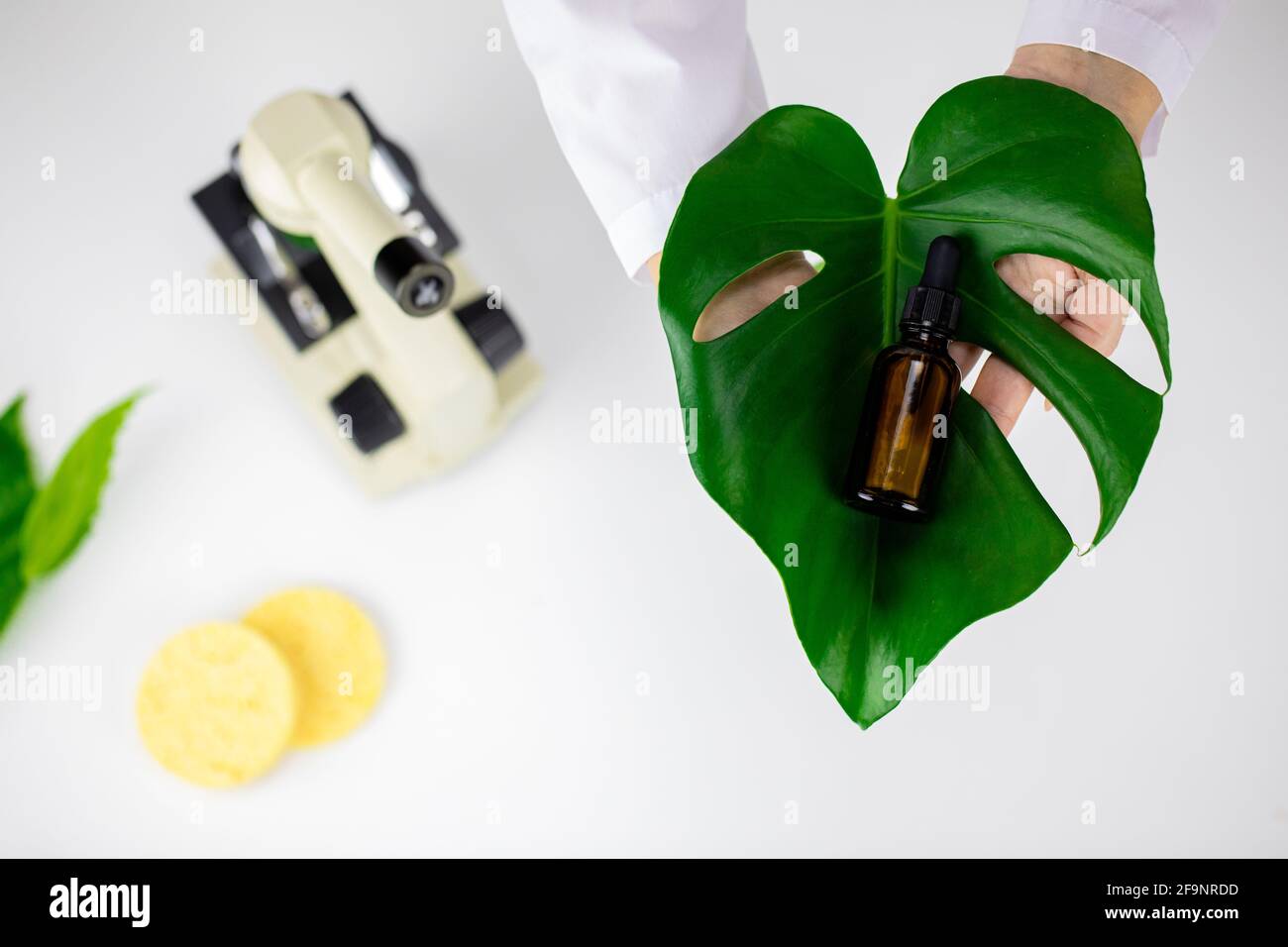 Face serum on green leaf on white lab background, plantbased cosmetics concept Stock Photo Alamy